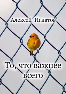 То, что важнее всего - Алексей Игнатов - современные аудиокниги попаданцы мр3 слушать на лучшем сайте booksaudio-online.com