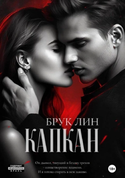 Капкан - Брук Лин - современные аудиокниги попаданцы мр3 слушать на лучшем сайте booksaudio-online.com