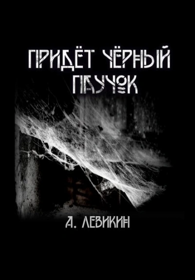 Придёт чёрный паучок - Алексей Левикин - современные аудиокниги попаданцы мр3 слушать на лучшем сайте booksaudio-online.com