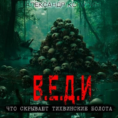 В.Е.Д.И. - Александр Корулин - современные аудиокниги попаданцы мр3 слушать на лучшем сайте booksaudio-online.com