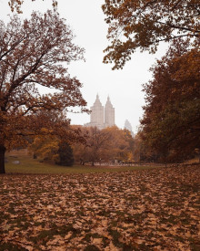 Фараон и хорал - Генри О. - современные аудиокниги попаданцы мр3 слушать на лучшем сайте booksaudio-online.com