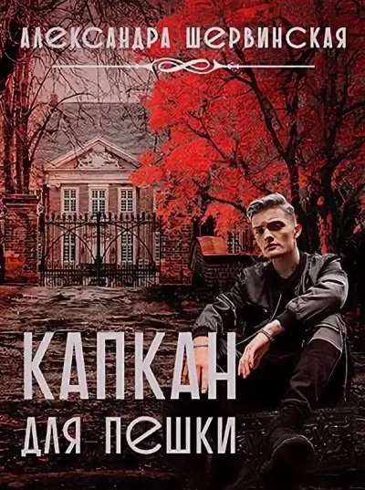 Капкан для пешки - Александра Шервинская - современные аудиокниги попаданцы мр3 слушать на лучшем сайте booksaudio-online.com