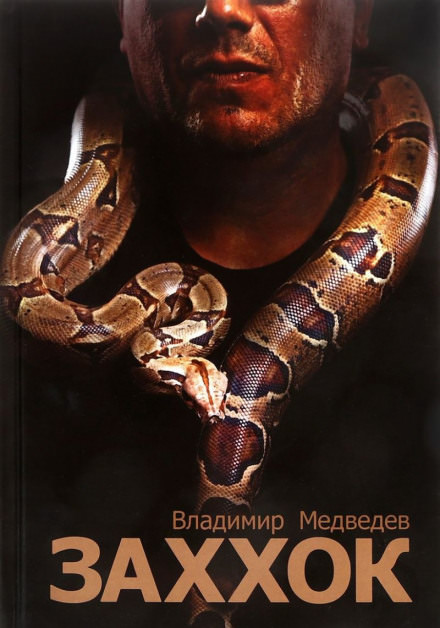 Заххок - Владимир Медведев - современные аудиокниги попаданцы мр3 слушать на лучшем сайте booksaudio-online.com