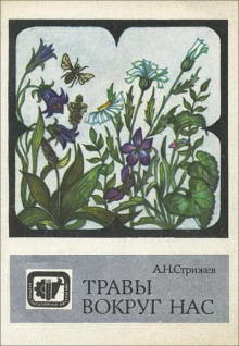 Травы вокруг нас - Александр Стрижев - современные аудиокниги попаданцы мр3 слушать на лучшем сайте booksaudio-online.com