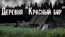 Деревня «Красный бор» - Юлия Скоркина - современные аудиокниги попаданцы мр3 слушать на лучшем сайте booksaudio-online.com