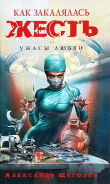 Как закалялась жесть - Александр Щёголев - современные аудиокниги попаданцы мр3 слушать на лучшем сайте booksaudio-online.com