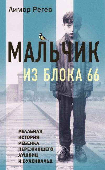 Мальчик из Блока 66. Реальная история ребенка, пережившего Аушвиц и Бухенвальд - Лимор Регев - современные аудиокниги попаданцы мр3 слушать на лучшем сайте booksaudio-online.com
