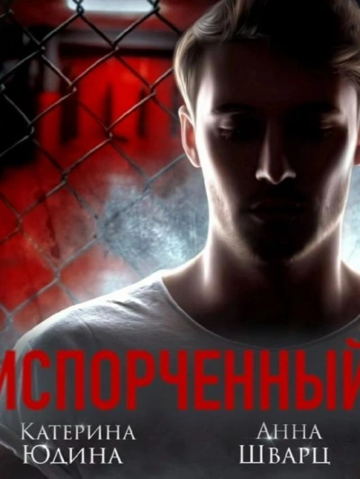 Испорченный. Книга 1 - Екатерина Юдина - современные аудиокниги попаданцы мр3 слушать на лучшем сайте booksaudio-online.com