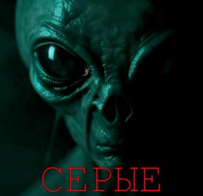 Серые - Алексей Грибанов - современные аудиокниги попаданцы мр3 слушать на лучшем сайте booksaudio-online.com