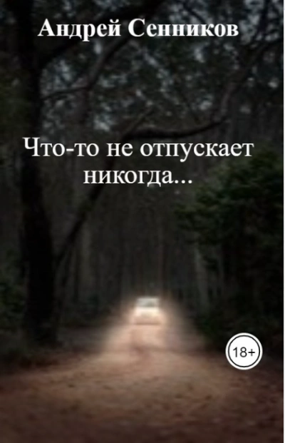 Что-то не отпускает никогда - Андрей Сенников - современные аудиокниги попаданцы мр3 слушать на лучшем сайте booksaudio-online.com