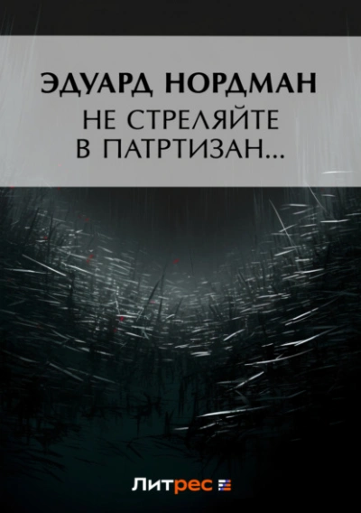 Не стреляйте в партизан… - Эдуард Нордман - современные аудиокниги попаданцы мр3 слушать на лучшем сайте booksaudio-online.com