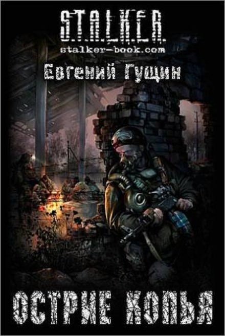 Острие копья - Евгений Гущин - современные аудиокниги попаданцы мр3 слушать на лучшем сайте booksaudio-online.com