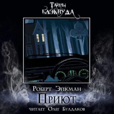 Приют - Роберт Эйкман - современные аудиокниги попаданцы мр3 слушать на лучшем сайте booksaudio-online.com