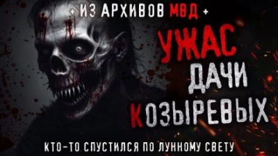 Кто-то спустился по лунному свету - Олег Новгородов - современные аудиокниги попаданцы мр3 слушать на лучшем сайте booksaudio-online.com