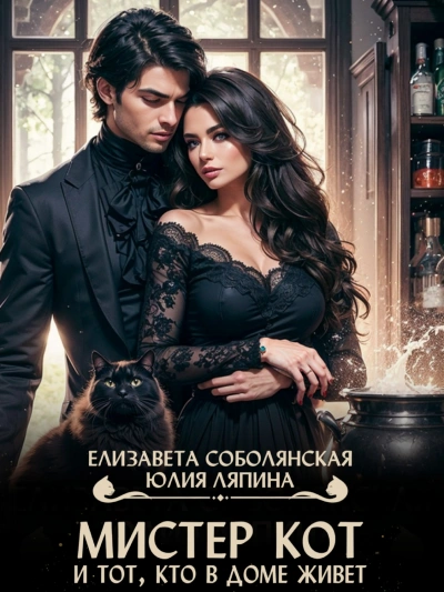 Мистер Кот и тот кто в доме живет - Елизавета Соболянская - современные аудиокниги попаданцы мр3 слушать на лучшем сайте booksaudio-online.com