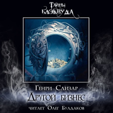 Другой бизнес - Генри Слизар - современные аудиокниги попаданцы мр3 слушать на лучшем сайте booksaudio-online.com