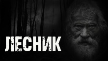 Лесник - Любовь Подина - современные аудиокниги попаданцы мр3 слушать на лучшем сайте booksaudio-online.com