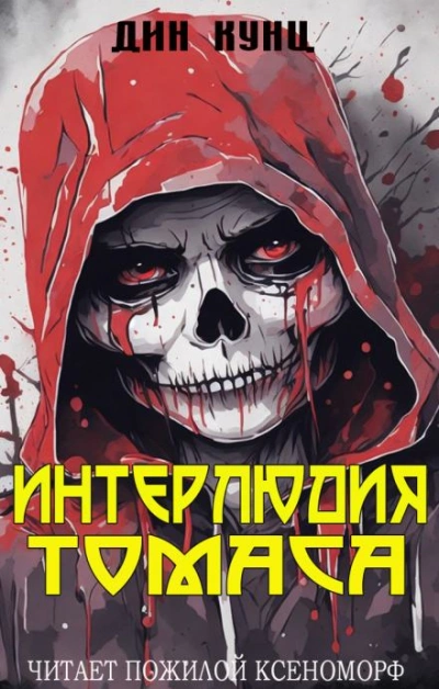 Интерлюдия Томаса - Дин Кунц - современные аудиокниги попаданцы мр3 слушать на лучшем сайте booksaudio-online.com