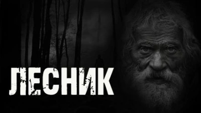 Лесник - Любовь Подина - современные аудиокниги попаданцы мр3 слушать на лучшем сайте booksaudio-online.com