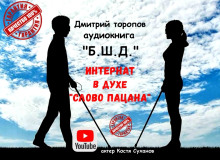 Б.Ш.Д. - Дмитрий Торопов - современные аудиокниги попаданцы мр3 слушать на лучшем сайте booksaudio-online.com