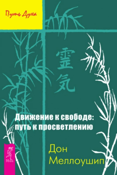 Движение к свободе: путь к просветлению - Дон Меллоушип - современные аудиокниги попаданцы мр3 слушать на лучшем сайте booksaudio-online.com