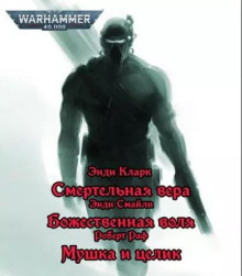 Имперские ассасины - Энди Смайли - современные аудиокниги попаданцы мр3 слушать на лучшем сайте booksaudio-online.com