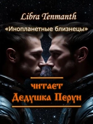 Инопланетные близнецы - Libra Tenmanth - современные аудиокниги попаданцы мр3 слушать на лучшем сайте booksaudio-online.com