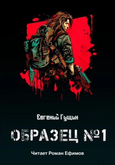 Образец №1 - Евгений Гущин - современные аудиокниги попаданцы мр3 слушать на лучшем сайте booksaudio-online.com