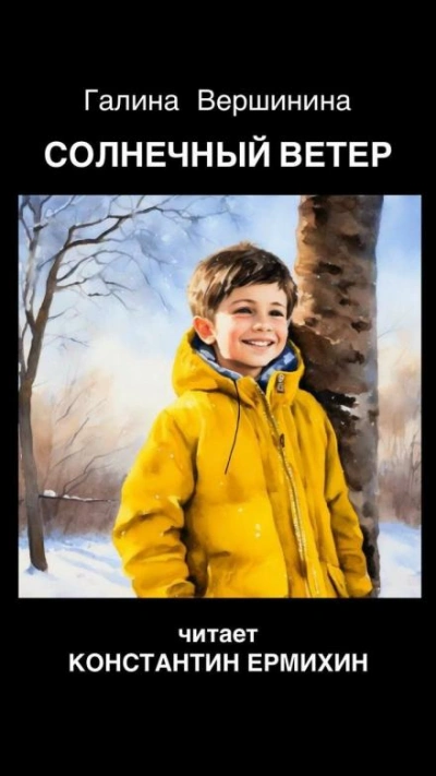 Солнечный ветер - Галина Вершинина - современные аудиокниги попаданцы мр3 слушать на лучшем сайте booksaudio-online.com