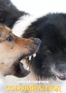 Собачий холод - Алексей Сухоруков - современные аудиокниги попаданцы мр3 слушать на лучшем сайте booksaudio-online.com