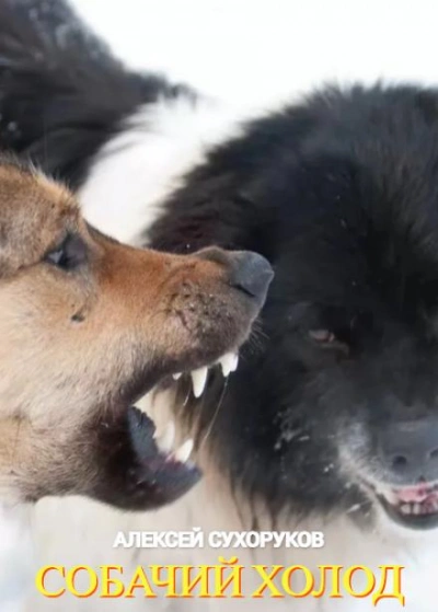 Собачий холод - Алексей Сухоруков - современные аудиокниги попаданцы мр3 слушать на лучшем сайте booksaudio-online.com