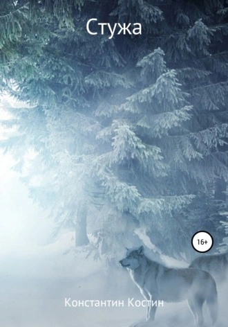 Стужа - Константин Костин - современные аудиокниги попаданцы мр3 слушать на лучшем сайте booksaudio-online.com