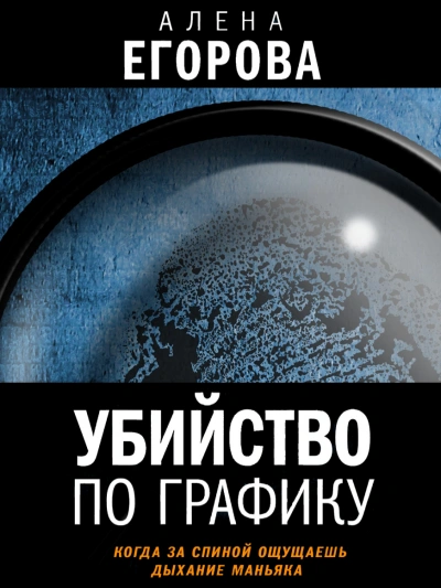 Убийство по графику - Алена Егорова - современные аудиокниги попаданцы мр3 слушать на лучшем сайте booksaudio-online.com