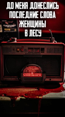 До меня донеслись последние слова женщины в лесу - Автор неизвестен - современные аудиокниги попаданцы мр3 слушать на лучшем сайте booksaudio-online.com