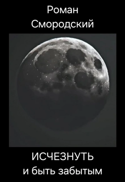 Исчезнуть и быть забытым - Роман Смородский - современные аудиокниги попаданцы мр3 слушать на лучшем сайте booksaudio-online.com