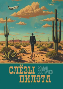 Слёзы пилота - Роман Светачев - современные аудиокниги попаданцы мр3 слушать на лучшем сайте booksaudio-online.com