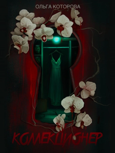 Коллекционер - Ольга Которова - современные аудиокниги попаданцы мр3 слушать на лучшем сайте booksaudio-online.com
