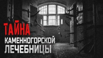 Патология - Алина Рауд - современные аудиокниги попаданцы мр3 слушать на лучшем сайте booksaudio-online.com