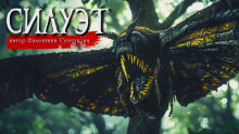 Силуэт - Валентина Сенчукова - современные аудиокниги попаданцы мр3 слушать на лучшем сайте booksaudio-online.com