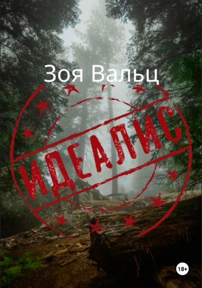 Идеалис - Зоя Вальц - современные аудиокниги попаданцы мр3 слушать на лучшем сайте booksaudio-online.com