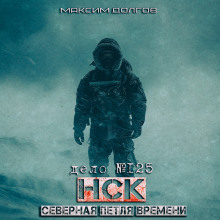 НСК дело №125. Северная петля времени - Максим Долгов - современные аудиокниги попаданцы мр3 слушать на лучшем сайте booksaudio-online.com