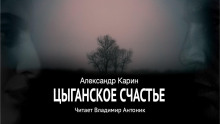 Цыганское счастье - Александр Карин - современные аудиокниги попаданцы мр3 слушать на лучшем сайте booksaudio-online.com