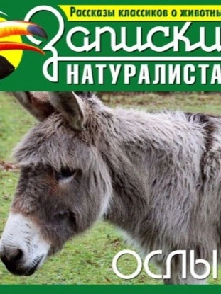 Рассказы классиков о животных. Ослы - современные аудиокниги попаданцы мр3 слушать на лучшем сайте booksaudio-online.com