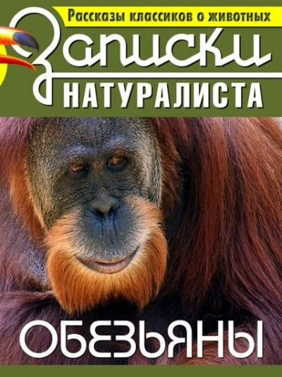Рассказы классиков о животных. Обезьяны - современные аудиокниги попаданцы мр3 слушать на лучшем сайте booksaudio-online.com