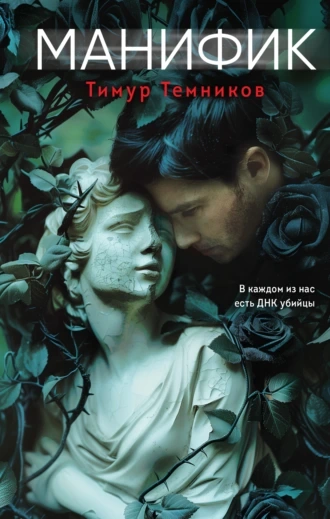 Манифик - Тимур Темников - современные аудиокниги попаданцы мр3 слушать на лучшем сайте booksaudio-online.com