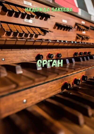 Орган - Надежда Бакеева - современные аудиокниги попаданцы мр3 слушать на лучшем сайте booksaudio-online.com