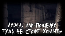 Лужи, или почему туда не стоит ходить - Lewmarna - современные аудиокниги попаданцы мр3 слушать на лучшем сайте booksaudio-online.com