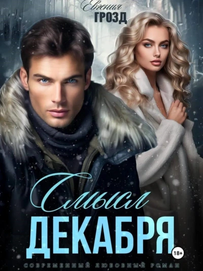 Смысл декабря - Евгения Грозд - современные аудиокниги попаданцы мр3 слушать на лучшем сайте booksaudio-online.com