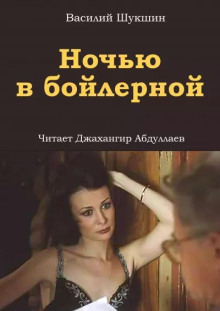 Ночью в бойлерной - Василий Шукшин - современные аудиокниги попаданцы мр3 слушать на лучшем сайте booksaudio-online.com