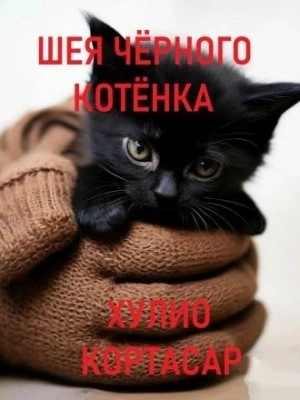 Шея чёрного котёнка - Хулио Кортасар - современные аудиокниги попаданцы мр3 слушать на лучшем сайте booksaudio-online.com